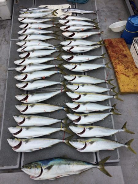 SeaRide(シーライド) 釣果