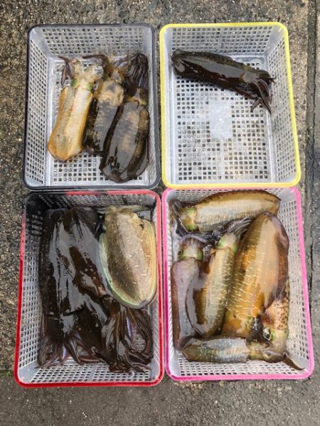 まるいち丸 ZERO-1 釣果