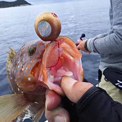 光生丸 釣果