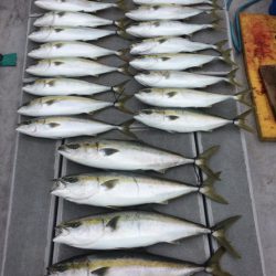 SeaRide(シーライド) 釣果