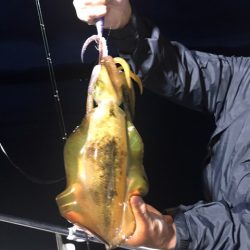 まるいち丸 ZERO-1 釣果