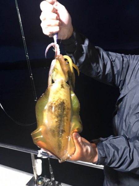 まるいち丸 ZERO-1 釣果