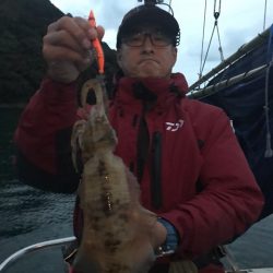 まるいち丸 ZERO-1 釣果