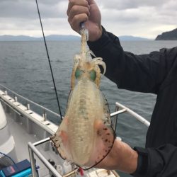 まるいち丸 ZERO-1 釣果