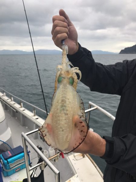 まるいち丸 ZERO-1 釣果