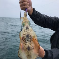 まるいち丸 ZERO-1 釣果