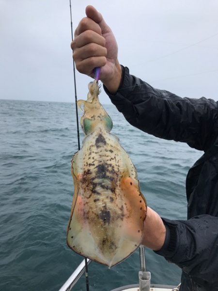 まるいち丸 ZERO-1 釣果