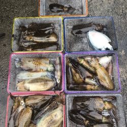 まるいち丸 ZERO-1 釣果