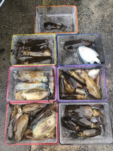 まるいち丸 ZERO-1 釣果