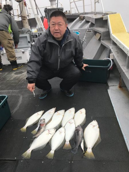 シーランチ 釣果