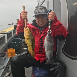 シーランチ 釣果