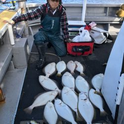 シーランチ 釣果