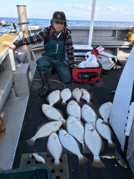 シーランチ 釣果