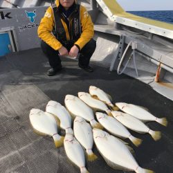 シーランチ 釣果