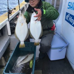 シーランチ 釣果