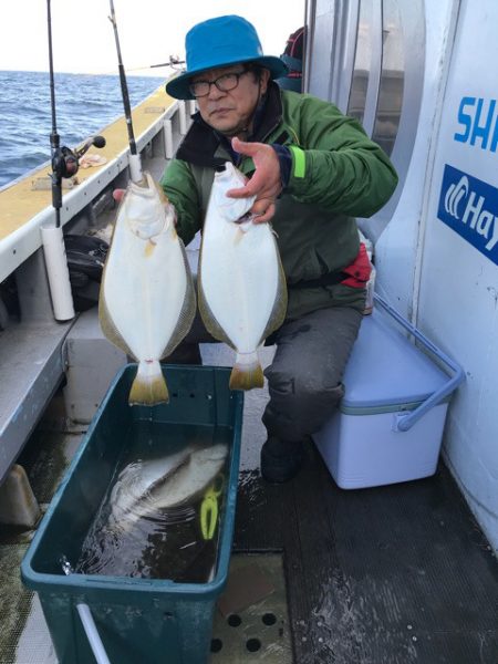 シーランチ 釣果