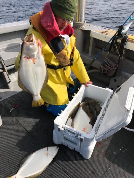 シーランチ 釣果