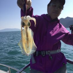 まるいち丸 ZERO-1 釣果