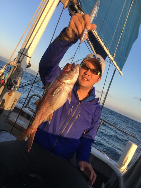 ＴＡＲＯＭＡＲＵ 釣果