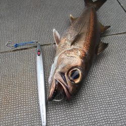 ＴＡＲＯＭＡＲＵ 釣果