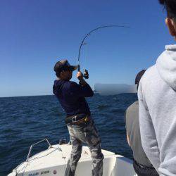 「LaGooN」蒼陽丸 日和号 釣果