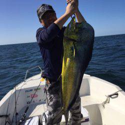 「LaGooN」蒼陽丸 日和号 釣果