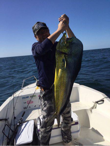 「LaGooN」蒼陽丸 日和号 釣果
