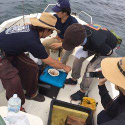 「LaGooN」蒼陽丸 日和号 釣果