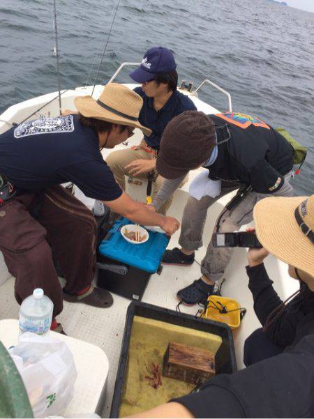 「LaGooN」蒼陽丸 日和号 釣果