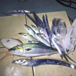 Monster Rush! 釣果