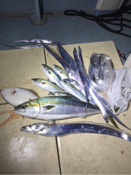 Monster Rush! 釣果