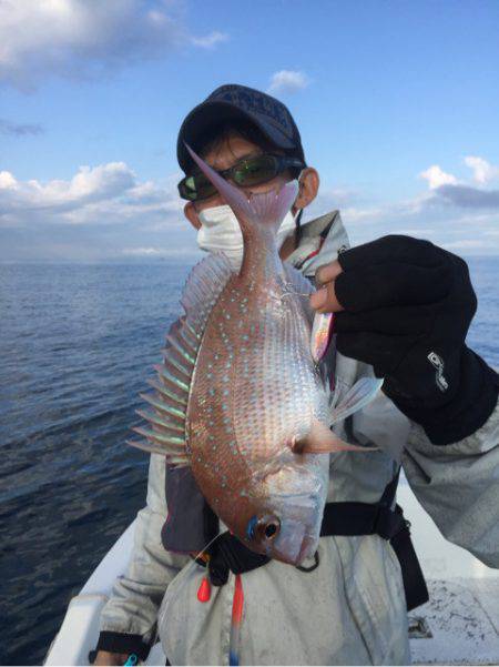 「LaGooN」蒼陽丸 日和号 釣果