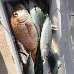 「LaGooN」蒼陽丸 日和号 釣果