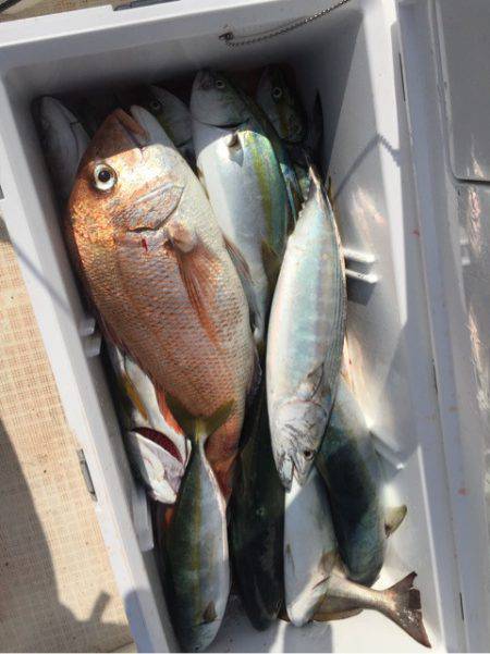 「LaGooN」蒼陽丸 日和号 釣果