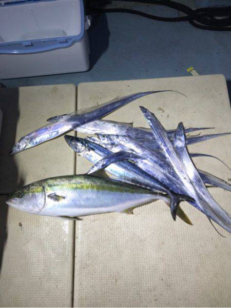 Monster Rush! 釣果