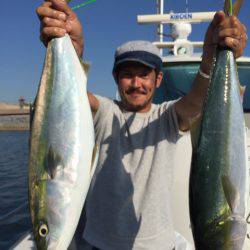 ビッグファイター 釣果