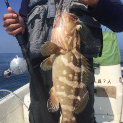 「LaGooN」蒼陽丸 日和号 釣果