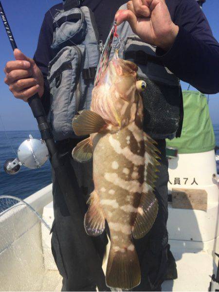 「LaGooN」蒼陽丸 日和号 釣果