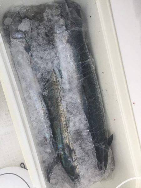 「LaGooN」蒼陽丸 日和号 釣果