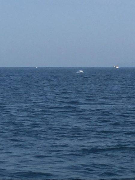 「LaGooN」蒼陽丸 日和号 釣果