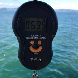 遊漁船メテオ 釣果