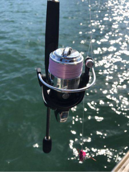 遊漁船メテオ 釣果