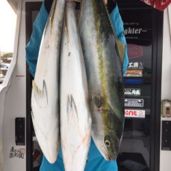 ビッグファイター 釣果