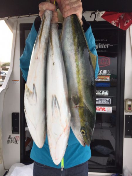 ビッグファイター 釣果