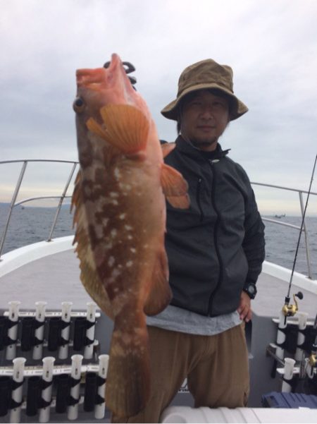 SeaRide(シーライド) 釣果