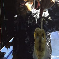 ヤザワ渡船 釣果