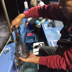 ヤザワ渡船 釣果