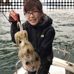 遊漁船メテオ 釣果
