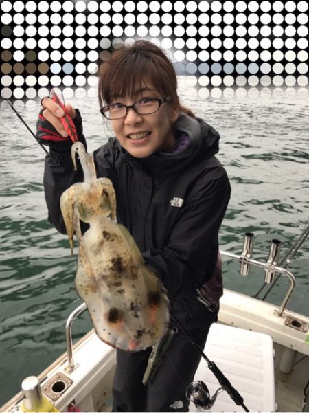 遊漁船メテオ 釣果