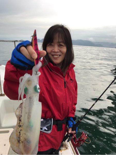 遊漁船メテオ 釣果